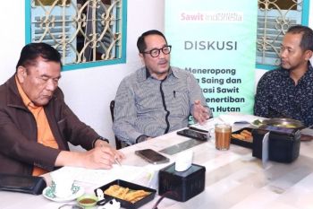Legislator minta kepastian hukum bagi pelaku sawit pascapenertiban