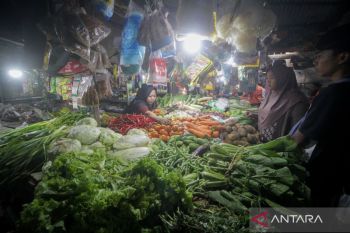 Disiplin fiskal dan stabilitas ekonomi berkelanjutan