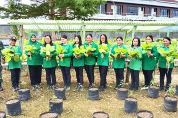 Persit Kodim Talaud panen sawi hidroponik dukung ketahanan pangan