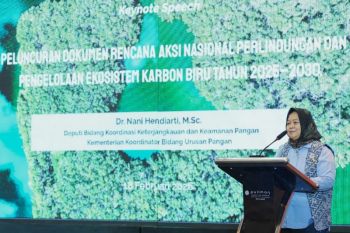 Indonesia launches national action plan for blue carbon ecosystems