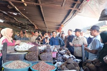 Gubernur Sulsel memastikan harga pangan di pasar terkendali
