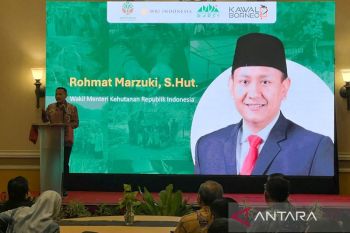 Wamenhut: Lahan perhutanan sosial terdampak banjir Sumatera dipulihkan