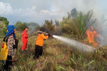 Sudah 85 hektare lahan terbakar di Sukamara