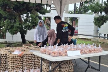 Pemprov Lampung: Pergerakan harga telur masih sesuai harga eceran tertinggi