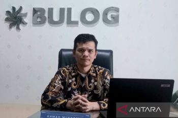 Bulog pastikan stok beras di Bangka Belitung aman hingga tiga bulan ke depan