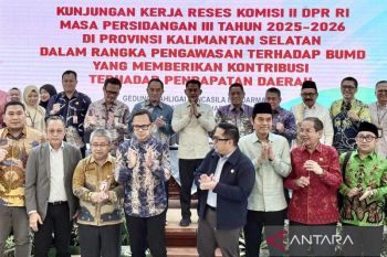 Wali Kota Banjarmasin minta DPR RI kaji dampak kebijakan fiskal daerah