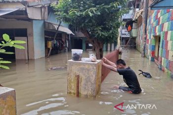 20 RT di Jaktim terendam banjir dengan ketinggian air capai 180 cm