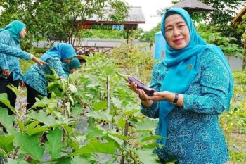 Ketua PKK Barut komitmen perkuat ketahanan pangan dan kemandirian keluarga