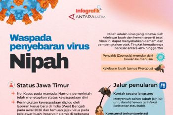 Waspada penyebaran virus Nipah
