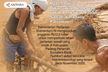 Rp12,5 Miliar Dikucurkan Kementan untuk Perbaikan Lahan Sawah di Padang Pariaman