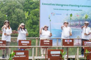 VIVA Apotek terlibat pada kegiatan mangrove planting ceremony