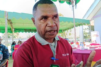 MRP dorong perlindungan hukum produk lokal Papua Pegunungan