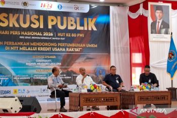 Pengamat: kolaborasi bank dan pemda kunci efektivitas penyaluran KUR