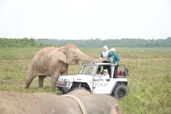 Sakai Sambayan Ela-Azwar: Setahun menata Lampung Timur makmur lestari