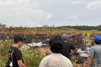 Polres Bengkalis tetapkan tersangka pembakar lahan 3 hektare untuk mengusir sarang tawon
