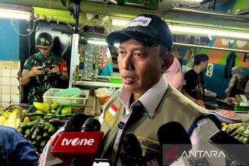 Dirut Bulog sebut pasokan beras nasional memadai hingga Lebaran