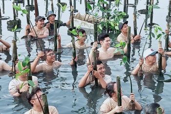 Tanam 200 pohon mangrove, Harris Lie: Jaga lingkungan lewat kontribusi nyata