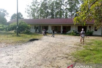 Kawanan gajah liar robohkan bangunan perumahan karyawan PT Arara Abadi di Minas