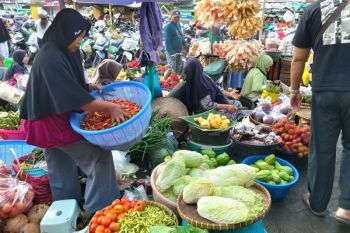 Pembangunan kereta gantung ke gunung Rinjani Lombok batal