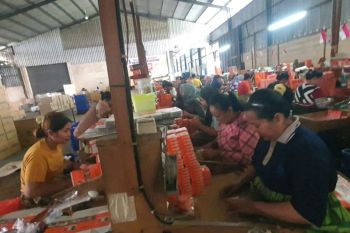 Penindakan rokok ilegal disebut peneliti harus dituntaskan