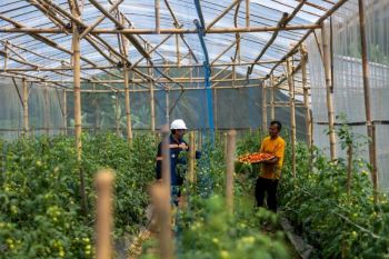 Antam kembangkan pertanian sirkular di Desa Kalongliud Bogor