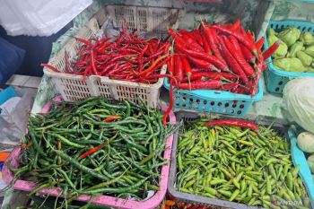 Awal Ramadhan, harga cabai di pasar kawasan Jaksel capai Rp130 ribu