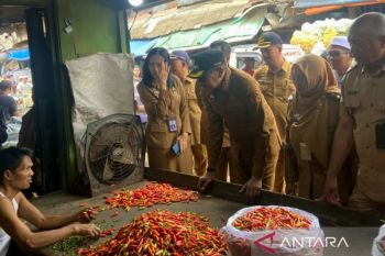 Pemkot Malang intensif pantau rantai pasok cabai rawit