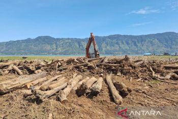 Pemanfaatan kayu hanyutan banjir Sumatera dilaporkan ke Satgas PRR