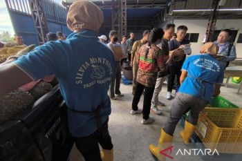 Kadin dan Apdurin Parigi Moutong kawal ekspor durian ke Tiongkok