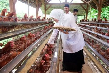 Pemkab Banyuwangi dorong desa perkuat kemandirian ekonomi
