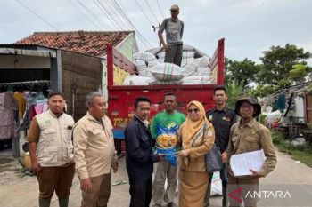 Distan Bekasi salurkan 10 ton benih padi ke petani Sukakarya