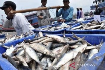 Strategi Kaltim angkat produk perikanan bernilai tinggi