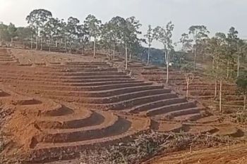 Rejang Lebong tambah sawah 1.075 ha, 604 ha siap tanam saat diairi