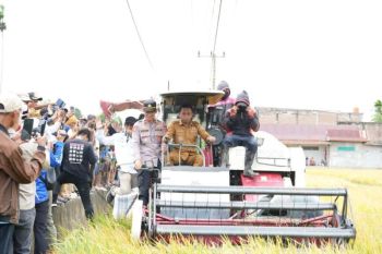 Bupati Sidrap ajak petani modernisasi pertanian