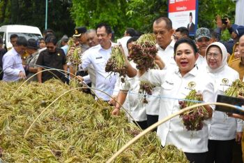 DPR apresiasi produk olahan bawang merah Brebes tembus pasar internasional