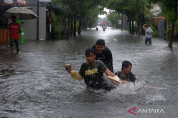 Banjir rendam permukiman di Denpasar usai hujan deras 4 hari beruntun
