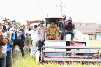 Petani Sidrap manfaatkan alat modern dongkrak produksi gabah