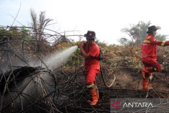 Awal 2026, luas karhutla di Riau capai 1,041.74 hektare