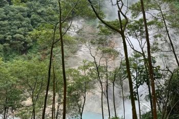 Walhi: Transisi energi harus dibangun dengan prinsip kehati-hatian