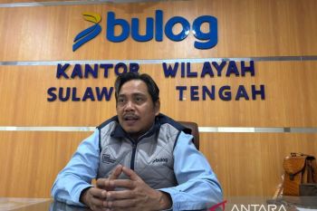 Bulog: Stok pangan di Sulteng selama Ramadhan sangat memadai