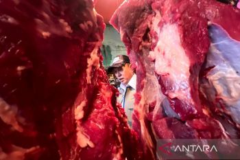 Harga daging sapi Rp137.867/kg, telur Rp30.725/kg di hari ke-7 puasa