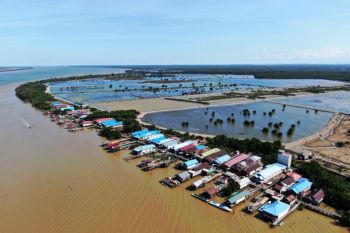 Berau dan YKAN libatkan kaum perempuan lestarikan mangrove