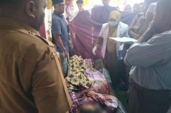 Warga Aceh Timur meninggal dunia tertimpa pohon tumbang