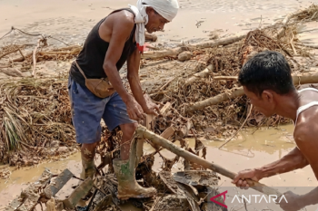 Kementan kucurkan Rp12,5 miliar perbaiki lahan sawah terdampak bencana di Padang Pariaman