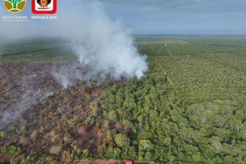 Usai nihil, kebakaran lahan kembali terjadi di tiga daerah di Riau