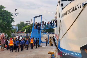 Distan yakin perda penetapan harga TBS lindungi petani sawit di Pulpis