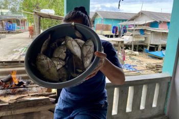 Pemko Batam targetkan ekspor ikan ke Singapura capai Rp270 miliar di tahun 2026