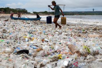 Holistic approach needed to tackle Indonesia's waste crisis: minister