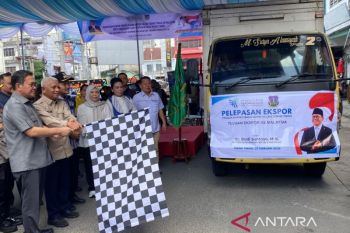 Menteri Perdagangan lepas ekspor keripik pisang kepok Tebing Tinggi