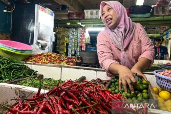 Data PIHPS: Harga bawang, cabai, dan daging kompak bertahan tinggi